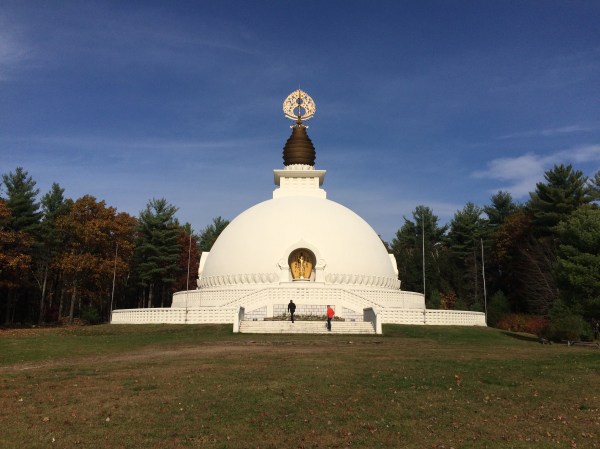 2014-10-28 12.56.18.jpg